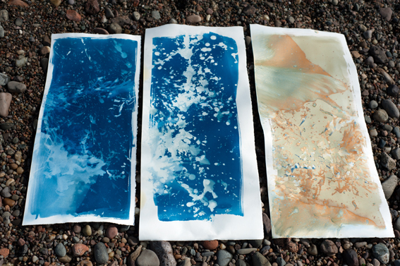 Seaside Cyanotypes